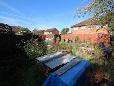 Picture 9